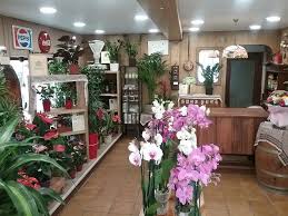FLORISTERIA MORRAL