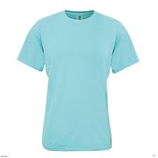 Comfort Colors Mens Heavyweight T Shirt
