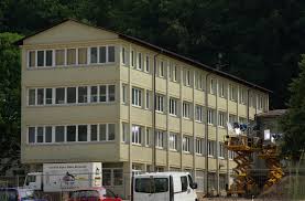 Der tatort aus ludwigshafen bietet neben ein paar umständlichkeiten die geglückte charakterstudie eines narzissten. Lena Odenthal Wikipedia