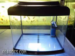 Hanya saja, kamu harus lebih hiasan aquarium driftwood biasa dipasang dengan selang sebagai suplai oksigen untuk ikan di dalam aquarium. Aquarium Hailea A50 Lebih Luas Dan Murah Ferboes Com