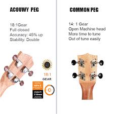 Maybe you would like to learn more about one of these? Acouway Ukulele Concert Soprano Tenor Ukulele 21 24 26 Sapele Ukulele Ukelele Aquila String Optinal Ukulele Bag Tuner Strap Ukulele Aliexpress