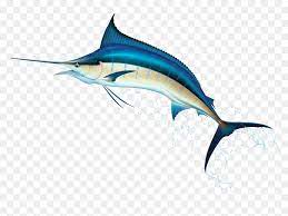 Download Sword Fish Clipart Clip Art Freeuse Swordfish Png Clip Marlin Fish Png Transparent Png Vhv