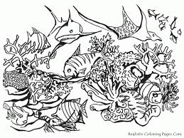 Summer hand drawn underwater plant decoration summer hand painted seabed. Underwater Coloring Pages Coloring Home