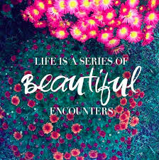 Cheers To Your Next Beautiful Encounter Happy Live Love Beauty Smiles Humanity Happylife Adventure Words Quotes Words Inspirational Words
