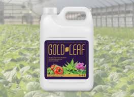 We did not find results for: Floraldaily Global Flower News