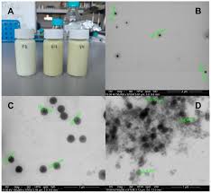 Nanoemulsions Based