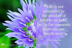 Life is not measured by the number of breaths we take, but by the moments that take our breath away. Life Is Not Measured By The Number Floating Petals