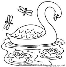 52 sketsa gambar angsa di kolam terlengkap. 5700 Sketsa Gambar Kolase Angsa Terbaru Kumpulan Gambar Kolase