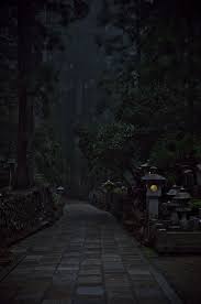 Background dark scenery hd free. Marshasilla In 2021 Dark Aesthetic Forest Pictures Dark Photography