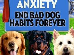 With careful and compassionate healthcare, your pets can remain healthy and happy members of your family longer than ever before. Pet Medical Center Of Ames Pmcofames Profile Pinterest
