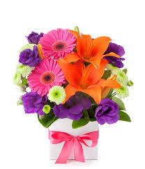 Online Flower Delivery Reviews Best Websites Canstar Blue