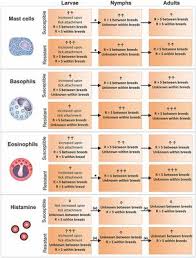 Check spelling or type a new query. Frontiers Bovine Immune Factors Underlying Tick Resistance Integration And Future Directions Cellular And Infection Microbiology