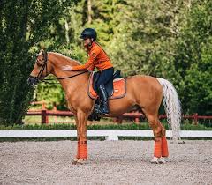 Artikel vielseitigkeitsreiten vielseitigkeitsreiten bedeutungen vielseitigkeitsreiten wiki synonyme für vielseitigkeitsreiten bilder von vielseitigkeitsreiten. Equestrian Stockholm Auf Instagram Sunday Inspiration Pferde Niedliche Pferde Pferde Fotografie