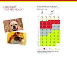 Dog Years Conversion Chart