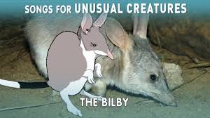 Songs For Unusual Creatures Bilby Episode Easter Bilby Creatures Easter Craft Activities