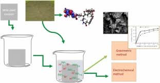 Image result for Anthonotha macrophylla