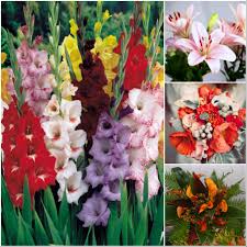 Red roses are symbols of love, loss, and grief. What Flowers Are Mostly Used In Bouquets