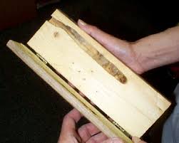 Bumble bees do not collect nesting materials so they select nest sites that are already outfitted with the materials they need. Carpenter Bee Control Need Help Call The Carpenter Bee Control Help Line At 1 800 877 7290