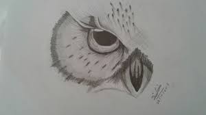 Owl Drawing Owls Drawing Drawings Face Drawing