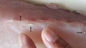 空の履歴（海の履歴） - ライブドアブログ