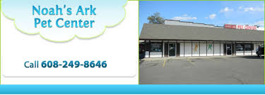 The most common pet ark material is ceramic. Noah S Ark Pet Center Want To Play With Free Roaming Rescue Kittens Or Maybe Pick Up Some Other Critters Check Out Madison Wisconsin Kitten Rescue Free Fun