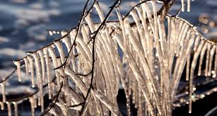 Here S How Hot Water Might Freeze Faster Than Cold Science News For Students