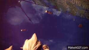 What you'll find are gifs from real ads with no context, per the rules of the subreddit. Monster Hunter World Cooking Animation 1 On Make A Gif