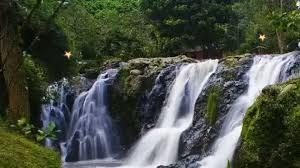 5 Tempat Wisata Tersembunyi (Hidden Gem) Lembang yang Wajib ...