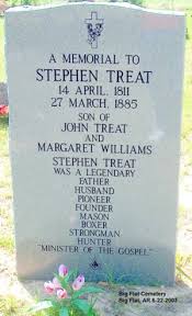 Treat Family Mysteries