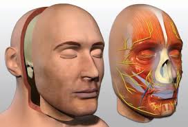 3-D Printing Changes the Face of Transplant Surgery