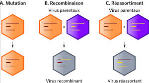 You can still get the colors. Viral Pandemics Of The Modern Era Encyclopedia Of The Environment