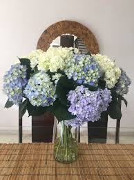 Hydrangea arrangement in tall vase. White And Blue Hydrangeas In A Tall Vase Centerpiece Blue Hydrangea Tall Vases Table Decorations
