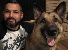 Loved by Dog Owners (& Celebrities), We Visit Hampstead's Most Dog Friendly  Salon