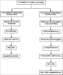 43 exhaustive coffee manufacturing process flow chart