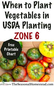Vegtrugs, vegtrug planters, vegtrug elevated planters Pin On Vegetable Garden