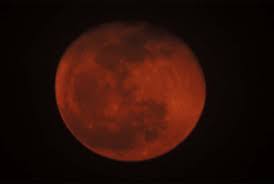 The eclipses in 2021 will be witnessed from different parts of india. S Jzqnwr Eoysm
