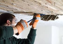 There are many ways to figure out whether your popcorn ceiling has any asbestos. Asbestos Removal Services Garage Roof Removal Renewal