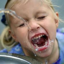 TOP 10 BEST Environmental Testing near Mountain Home, ID