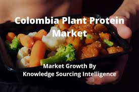 Market Growth Of Colombia Plant Protein Market By Knowledge Sourcing In 2020 Plant Protein Plant Based Protein Protein