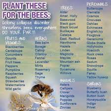 Pesticides can affect more than pests. Pin By Anna Snellings On Garden Bee Keeping Bee Bee Garden