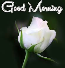 Pin On Beautiful Nature