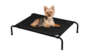 Benvenuto nella sezione brandine per cani taglia grande prezzi di eprice. Malawi Eccezionale Resistere Brande Per Cani Aureliebeauprez Com