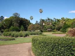 Brisbane Botanic Gardens Mt Coot Tha Things To Do In Brisbane Trip Advisor Brisbane