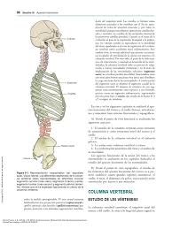 Libro de atlas 6 grado 2020 pag 85 : 7 Pag 88 109 Vertebra La Columna Vertebral