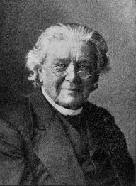 Dinosaur Tracks Discovery