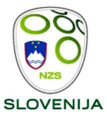 Slovenia Football Association Of Slovenia Slovenia Football Soccer Logo Fifa Football