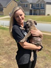 We have an excellent training program that every of our pitbull competence and professionalism has always been our motto. Xl American Bullies Puppies For Sale Buff N Blue Bullies Alabama