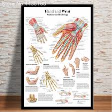 Hd Wall Art Human Body Anatomy Poster Anatomie System Chart Body Map Canvas Painting Picture Print Decorative Home Decor