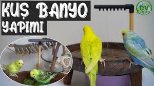 kus banyosu yapimi ahsap tabaktan dus banyoluk kus havuzu yapimi muhabbet kusu papagan youtube