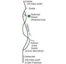 As noted by runner's world magazine, the avenue of the giants marathon is one of the most scenic courses in the country. Cabin Lodging And Camping On The Avenue Of The Giants